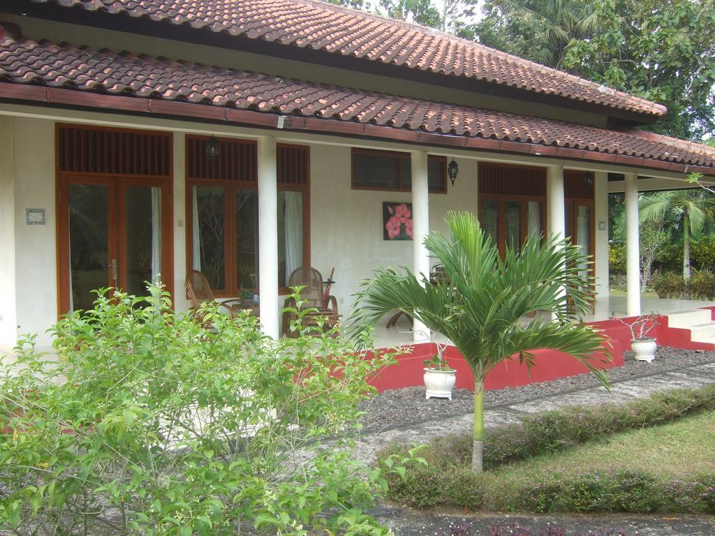 Guesthouse Rumah Senang Kalibaru Extérieur photo